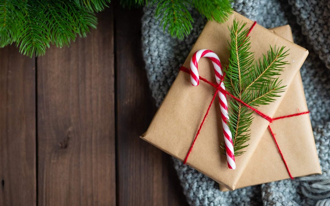 5 Sensible Christmas Presents for a Pest-Free Home