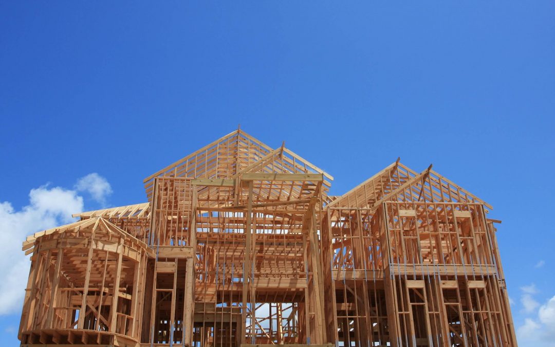 Don’t Build Your New Home Without Pest Control in Place
