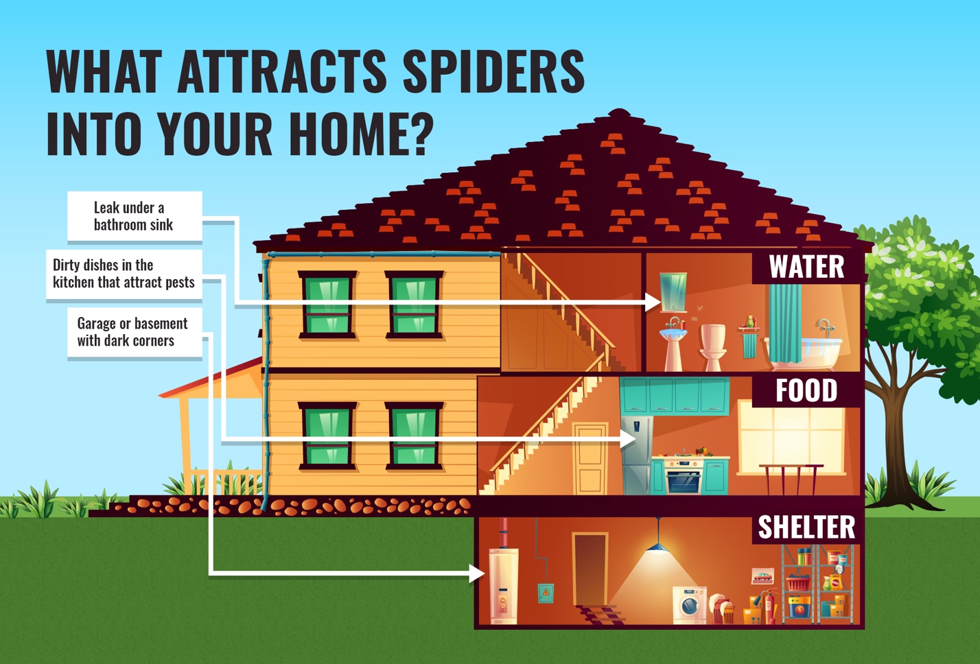 Depiction of House and what attracts spiders