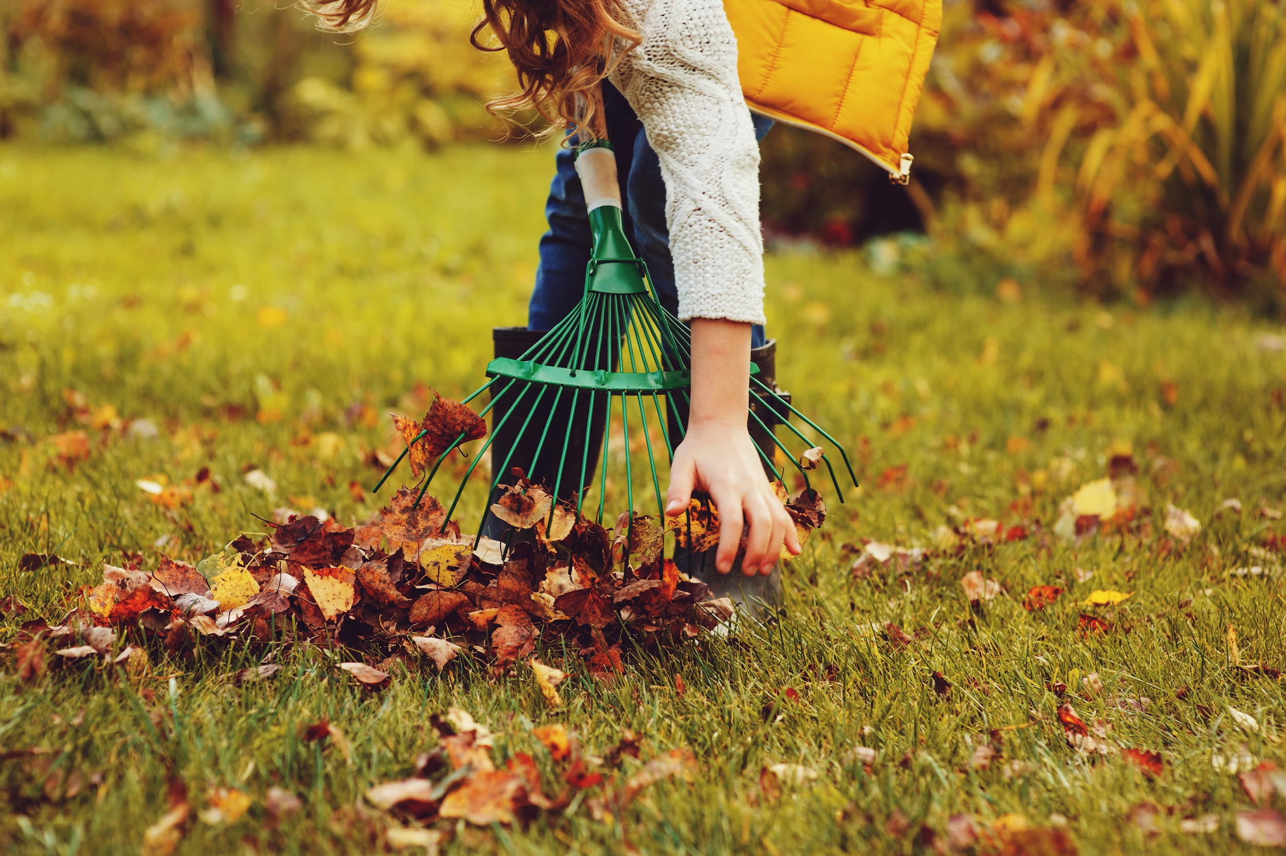 cleaning leaves