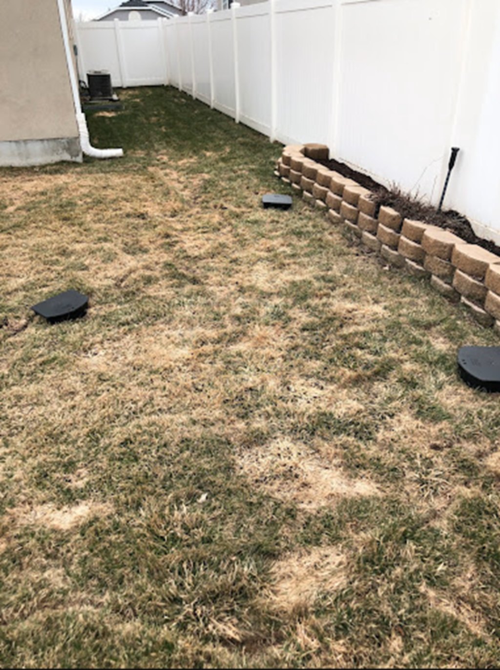 Mice in Your House? Stop Them Now! What They Eat & How to Keep Them Out